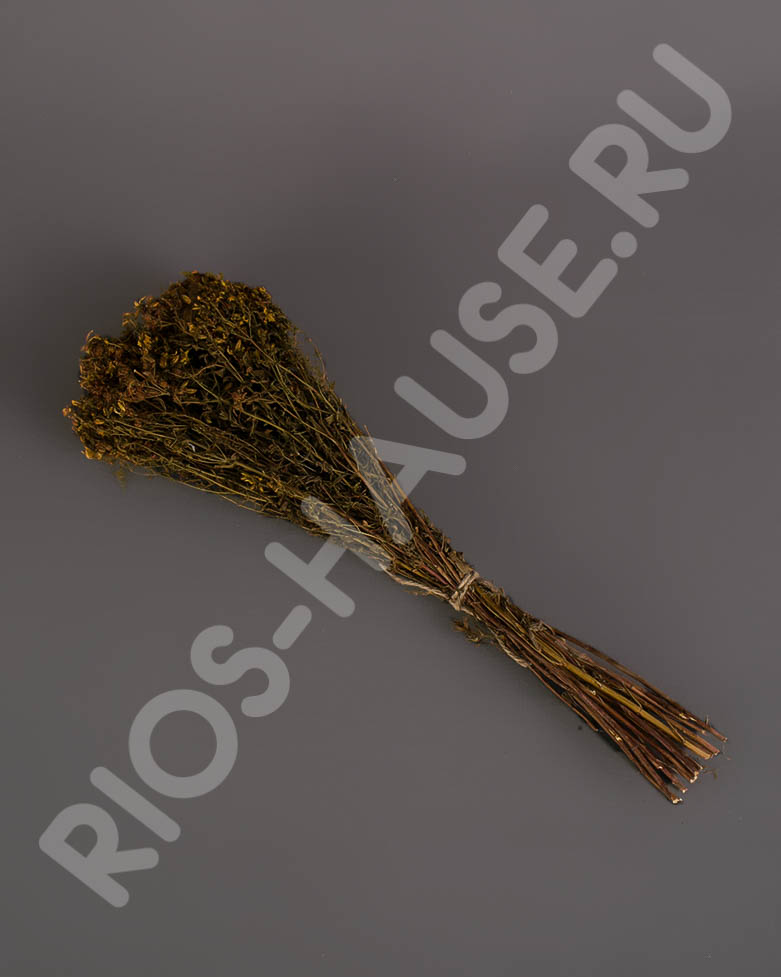 Букет из трав "зверобой" ТМ "Бацькина баня"/30 - изображение 2