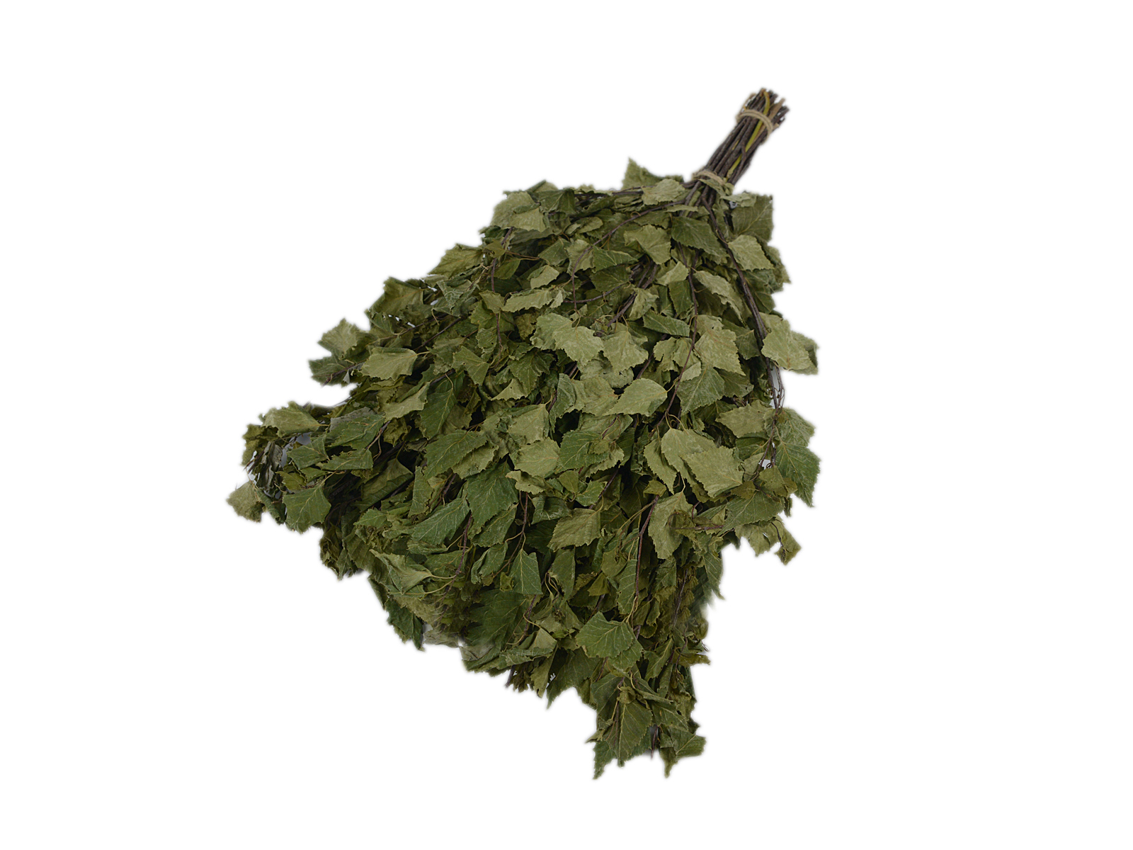 Веник березовый с иван-чаем ПРЕМИУМ (в упак.) TM ”Бацькина баня” - изображение 2