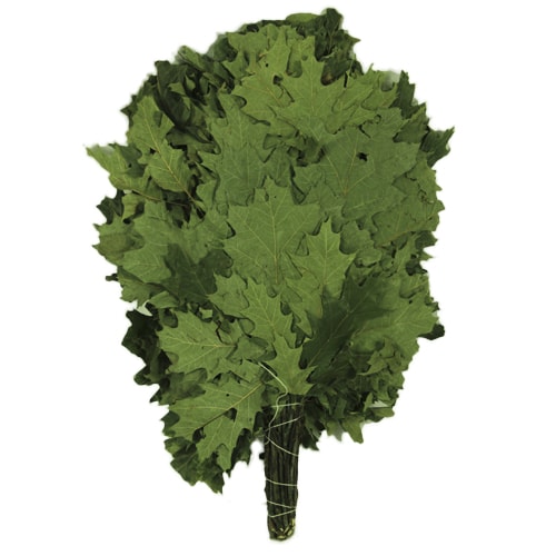 Веник кленовый (в упак.) ТМ "Бацькина баня"/30 - изображение 1