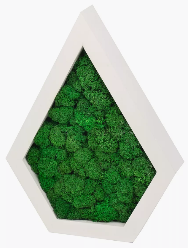 Декоративная полка Капля со мхом 290х220х50 мм, цвет "Белый"