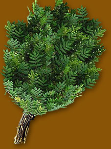 Веник рябиновый ( в упак) ТМ "Бацькина баня"/30 - изображение 3