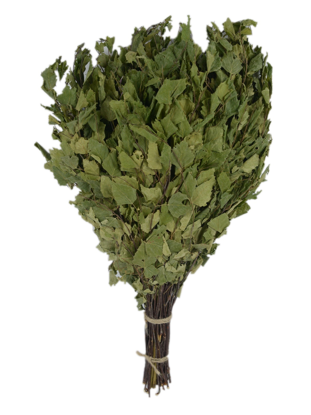 Веник березовый с мятой (в упак.) TM ”Бацькина баня”/35 - изображение 1