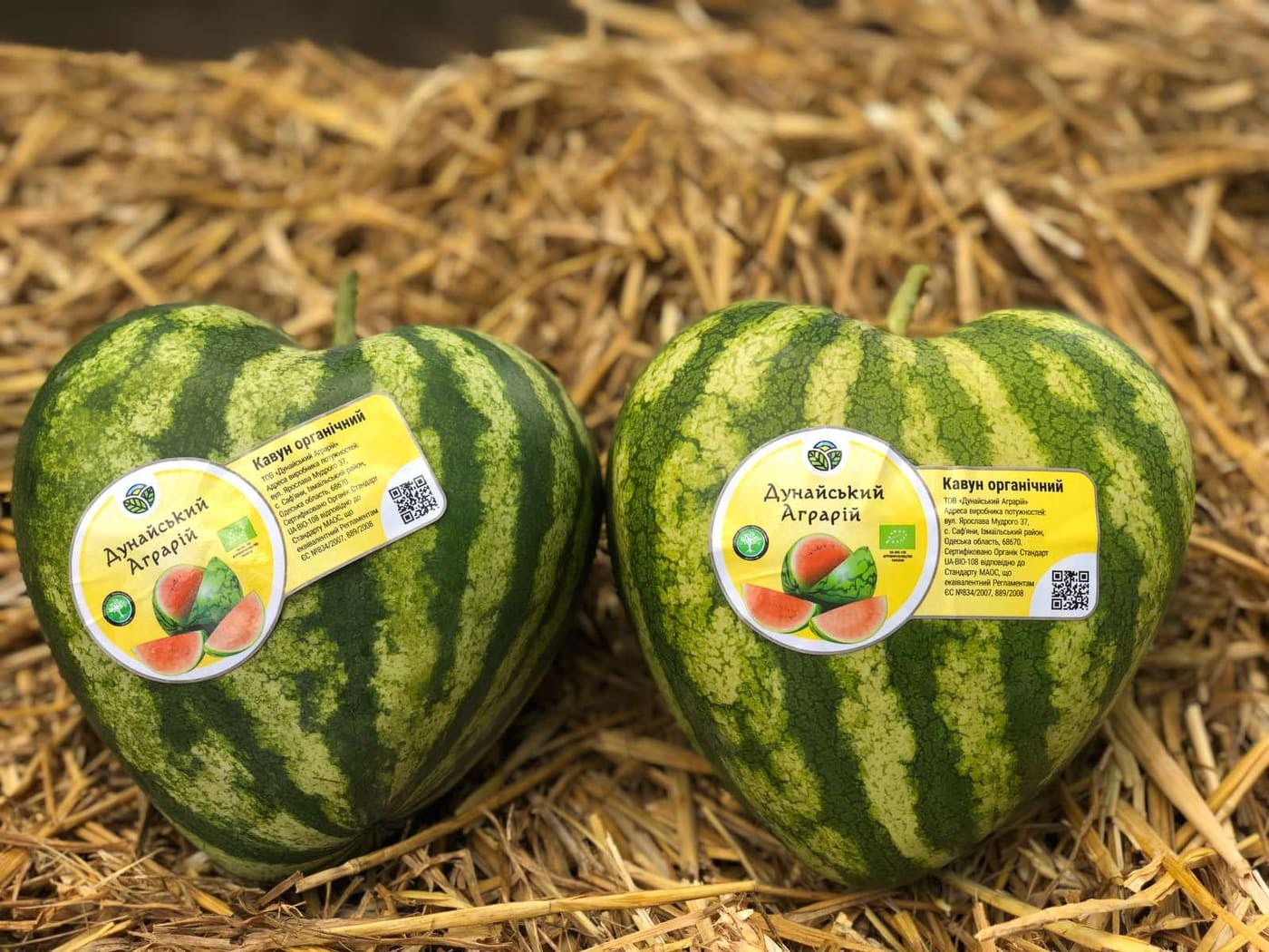 Фрутформер "Сердце-арбуз" (в упаковке) 17x17x14cm "Садовин"/5 - изображение 3