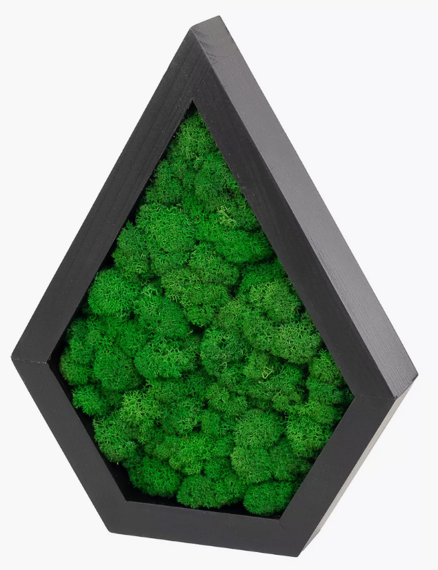 Декоративная полка Капля со мхом 290х220х50 мм, цвет "Черный" - изображение 2