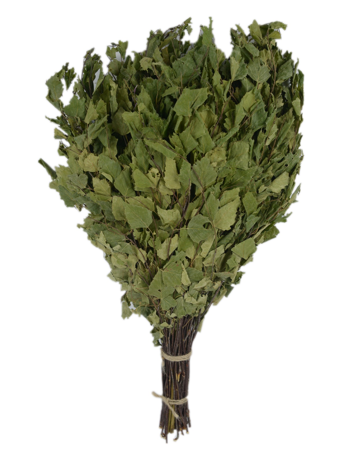 Веник березовый со зверобоем (в упаковке) ТМ "Бацькина баня"/30 - изображение 4