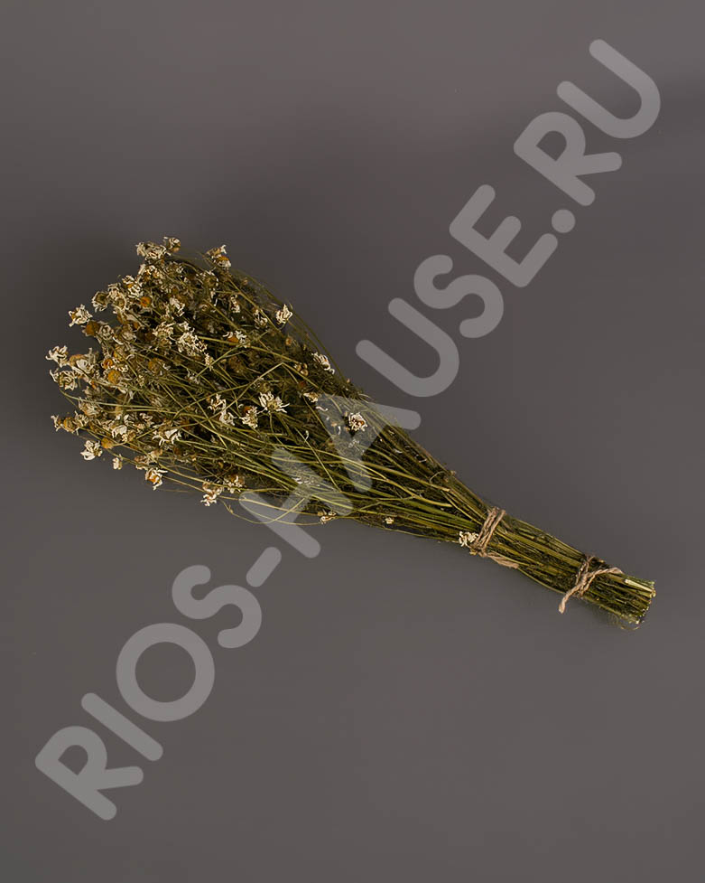 Букет из трав "ромашка" ТМ "Бацькина баня"