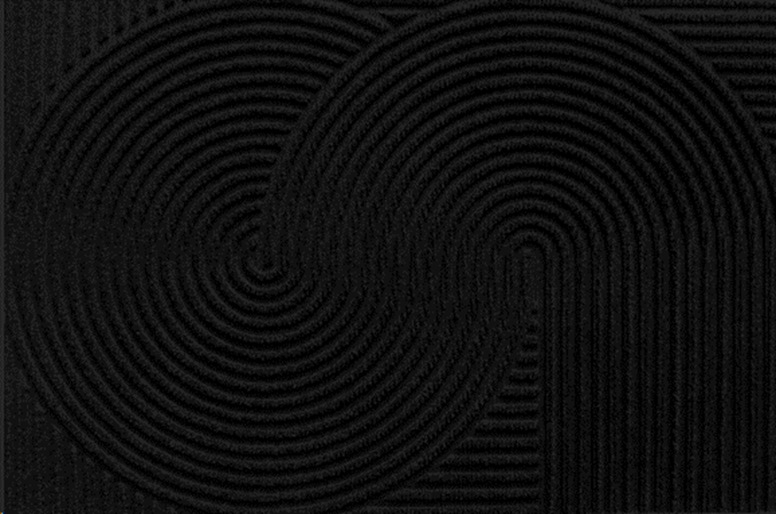 Коврик влаговпитывающий 100х150см Dzen ПП на резине чёрный Blabar/2 - изображение 2