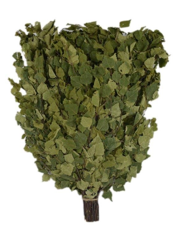 Веник березовый ЭКОНОМ (в упаковке) ТМ "Бацькина баня"/30 - изображение 2